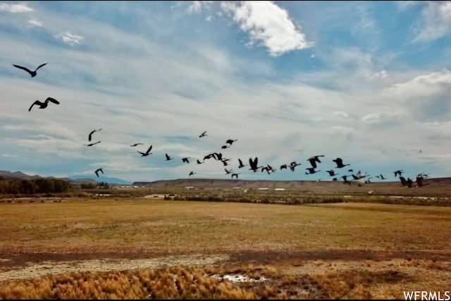 475 County Rd 324, Sinclair, WY 82334