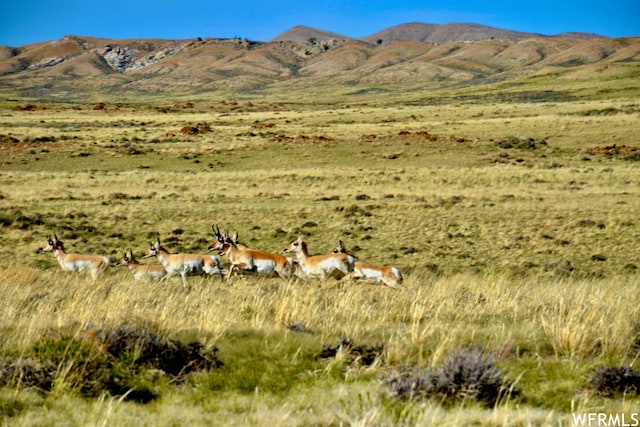 475 County Rd 324, Sinclair, WY 82334