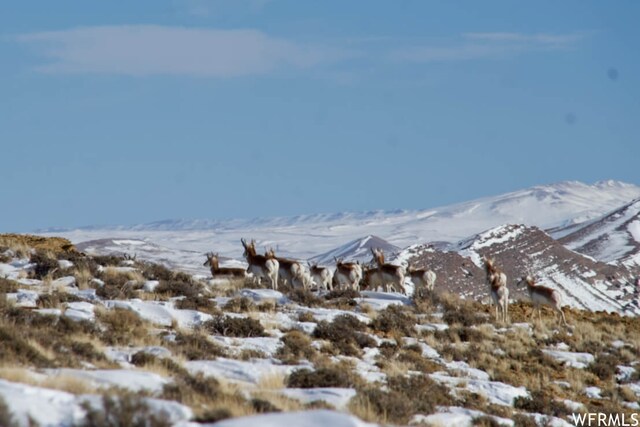 475 County Rd 324, Sinclair, WY 82334