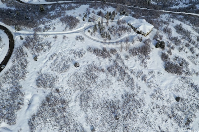 5941 E Snowbasin Rd Unit 1N, Huntsville, UT 84317 - photo 16