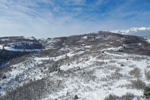5941 E Snowbasin Rd Unit 1N, Huntsville, UT 84317 - photo 21