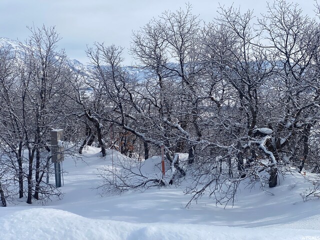 5941 E Snowbasin Rd Unit 1N, Huntsville, UT 84317 - photo 22