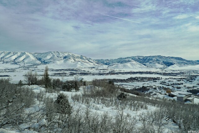 5941 E Snowbasin Rd Unit 1N, Huntsville, UT 84317 - photo 11