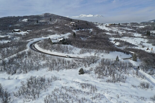 5941 E Snowbasin Rd Unit 1N, Huntsville, UT 84317 - photo 17