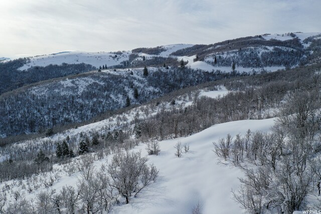 5941 E Snowbasin Rd Unit 1N, Huntsville, UT 84317 - photo 18