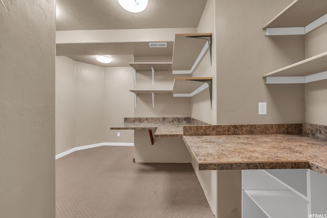 spacious closet featuring carpet floors