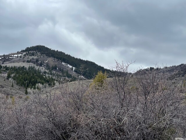 57 Dogwood Cir Unit 633, Fish Haven, ID 83287