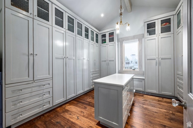 walk in closet with dark wood finished floors