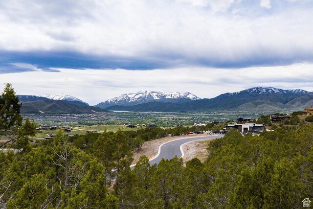 2905 E Ln Sal Peak Dr Unit 607, Heber City, UT 84032