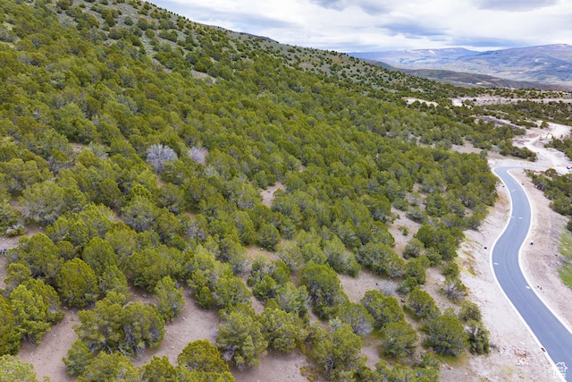 2905 E Ln Sal Peak Dr Unit 607, Heber City, UT 84032