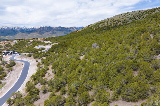 2905 E Ln Sal Peak Dr Unit 607, Heber City, UT 84032