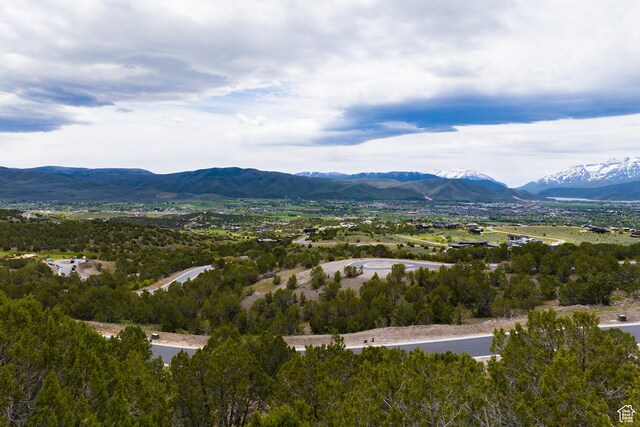 2905 E Ln Sal Peak Dr Unit 607, Heber City, UT 84032