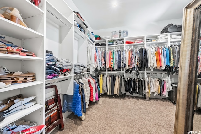 walk in closet with light carpet