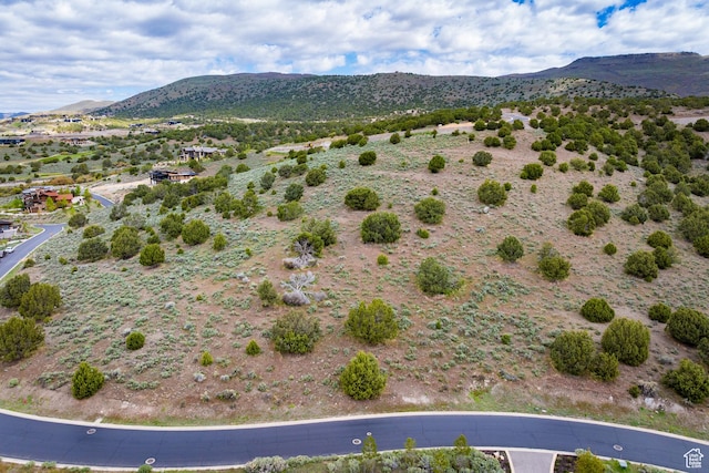 556 N Ibapah Peak Dr Unit 172, Heber City, UT 84032 - photo 10