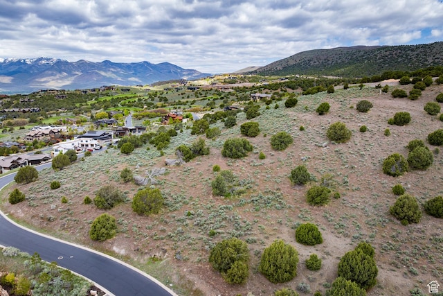 556 N Ibapah Peak Dr Unit 172, Heber City, UT 84032 - photo 9