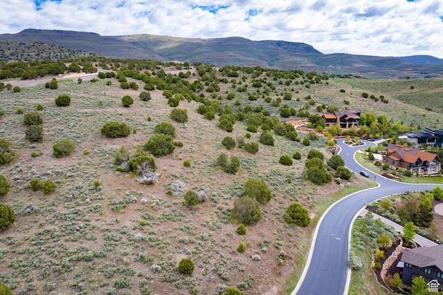 556 N Ibapah Peak Dr Unit 172, Heber City, UT 84032 - photo 11