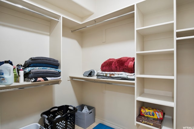 view of spacious closet