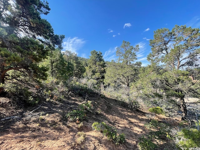Unit 19, Spring City, UT 84662