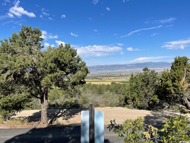 Unit 19, Spring City, UT 84662