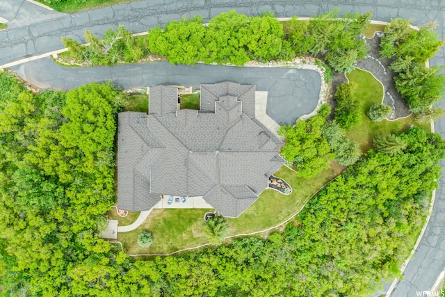 4159 Moose Hollow Rd, Park City, UT 84098 - view of bird's eye view