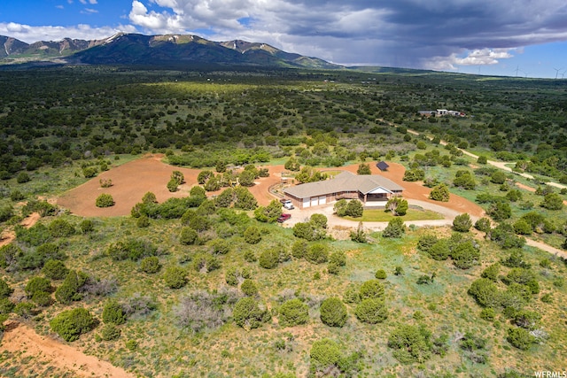 birds eye view of property featuring a mountain view