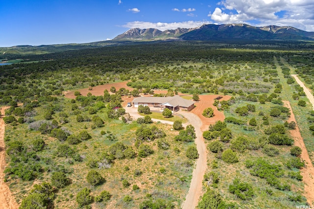 aerial view with a mountain view