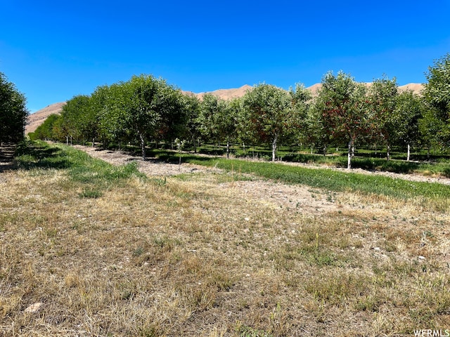 2151 N York Ln Unit 11, Genola, UT 84655 - photo 3