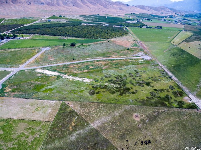 2151 N York Ln Unit 11, Genola, UT 84655 - photo 11
