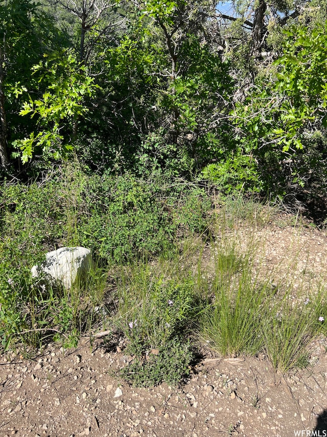 13606 E 22460 N, Fairview, UT 84629