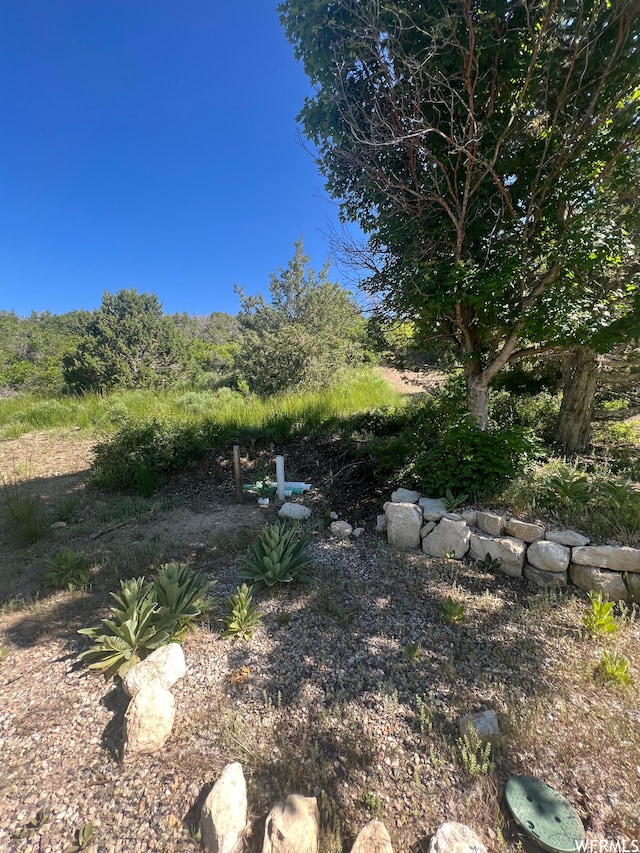 13606 E 22460 N, Fairview, UT 84629