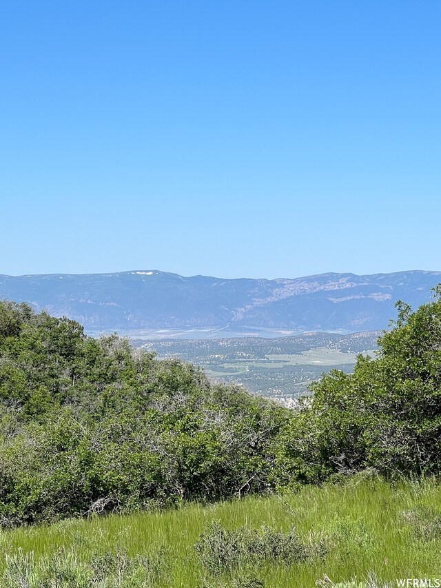 13606 E 22460 N, Fairview, UT 84629