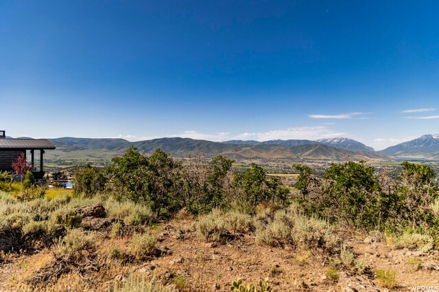 1652 N A1 Peak Dr Unit 489, Heber City, UT 84032