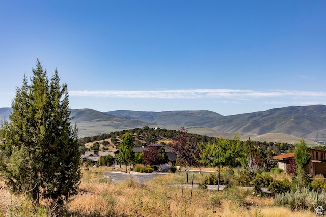 581 N Red Mountain Ct Unit 211, Heber City, UT 84032 - photo 11