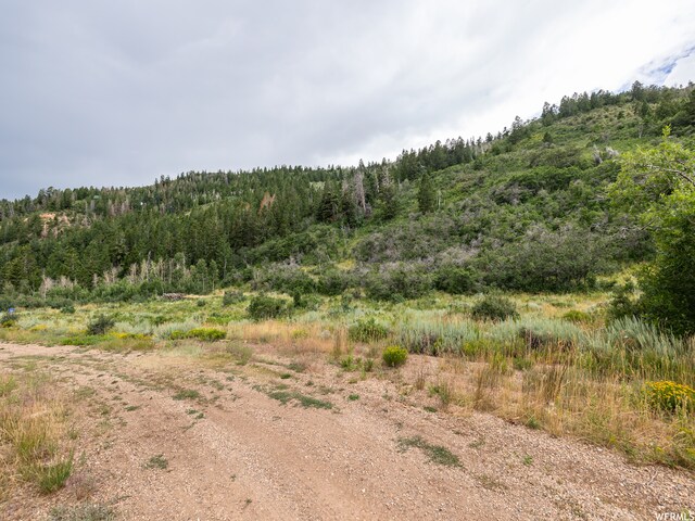 Unit 24, Tabiona, UT 84072