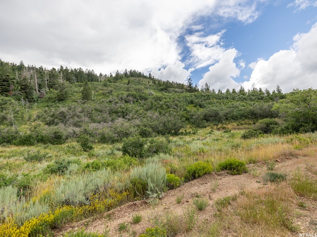Unit 24, Tabiona, UT 84072