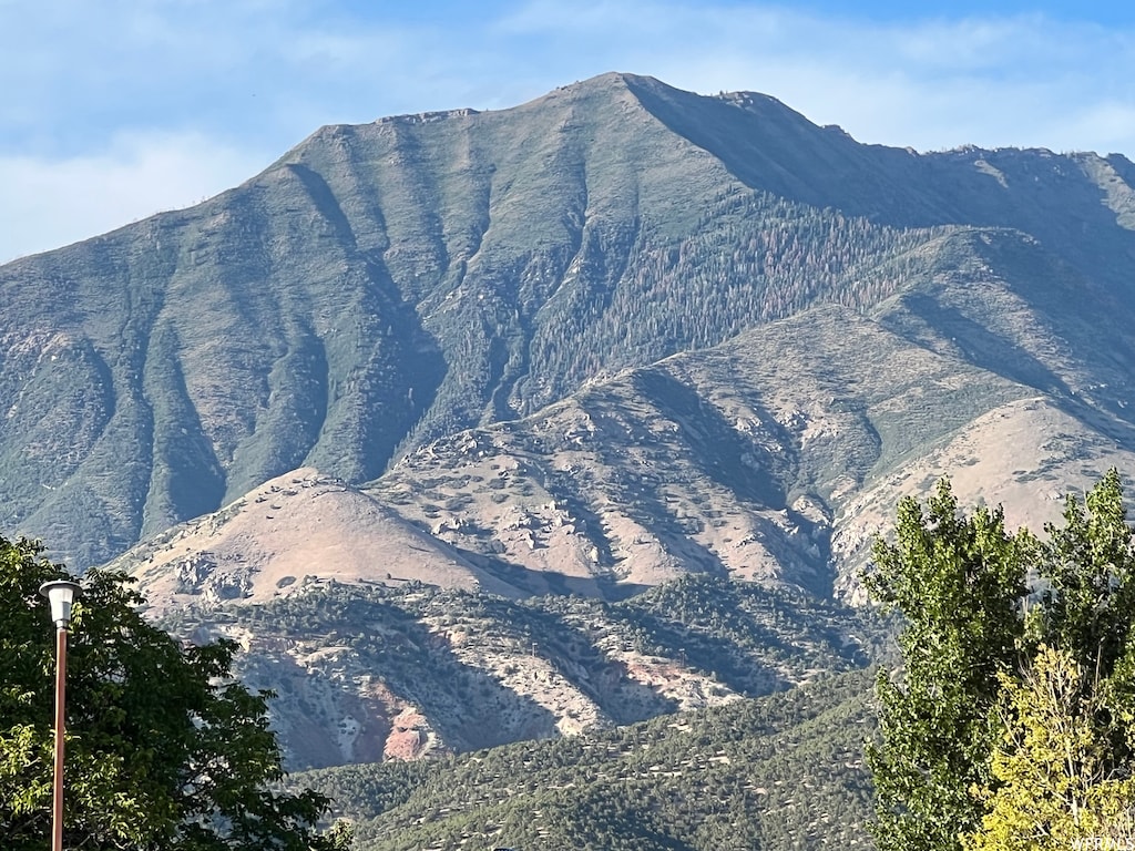 448 S 600 E Unit 4, Nephi, UT 84648
