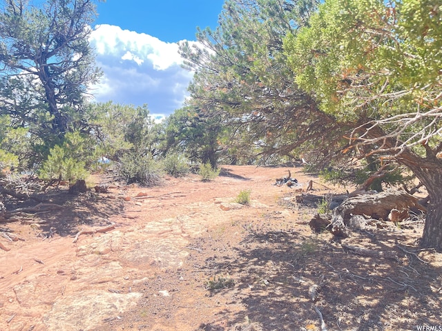 9 Cedar Mt Unit 120, Duchesne, UT 84021 - photo 7