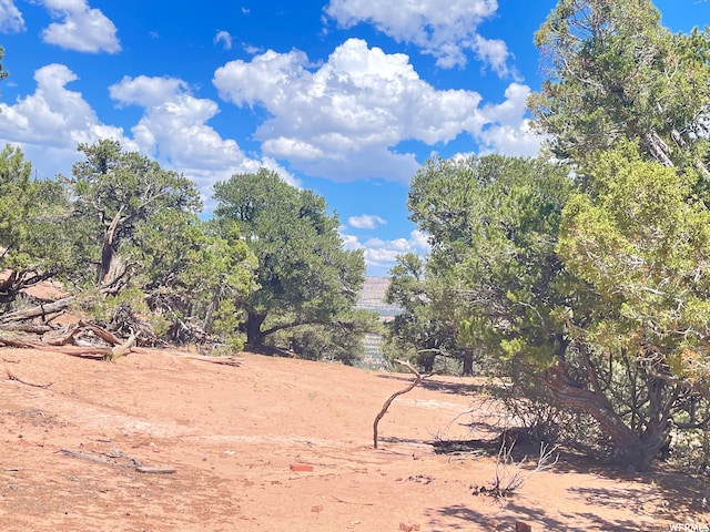 9 Cedar Mt Unit 120, Duchesne, UT 84021 - photo 6