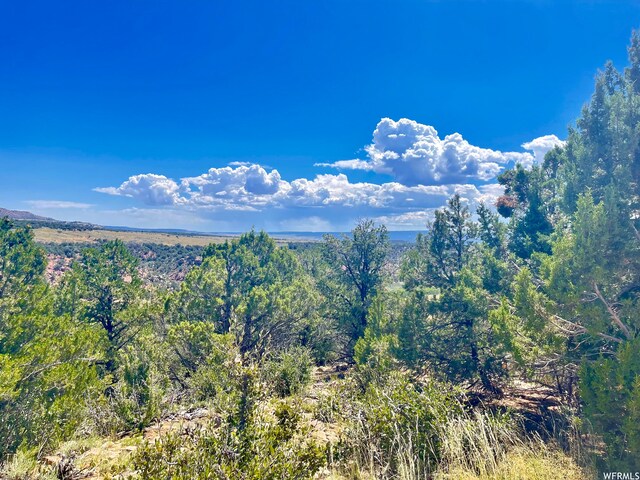 9 Cedar Mt Unit 120, Duchesne, UT 84021 - photo 1