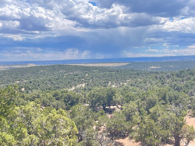 9 Cedar Mt Unit 120, Duchesne, UT 84021 - photo 17