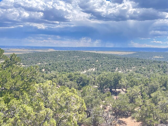 9 Cedar Mt Unit 120, Duchesne, UT 84021 - photo 14
