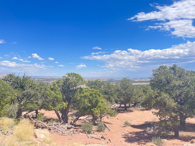 9 Cedar Mt Unit 120, Duchesne, UT 84021 - photo 12