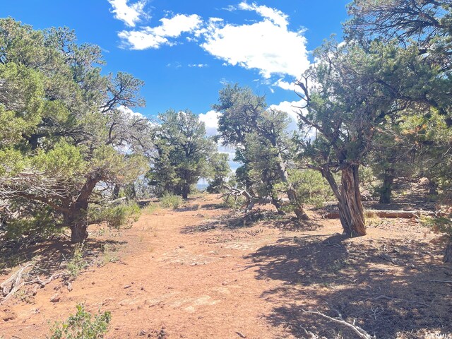 9 Cedar Mt Unit 120, Duchesne, UT 84021 - photo 11