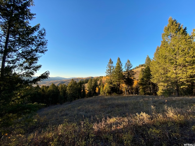 400 Grover Dry Farm Rd, Grover, WY 83122 - photo 60
