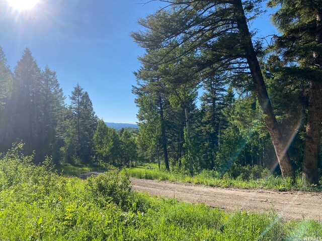 400 Grover Dry Farm Rd, Grover, WY 83122 - photo 19