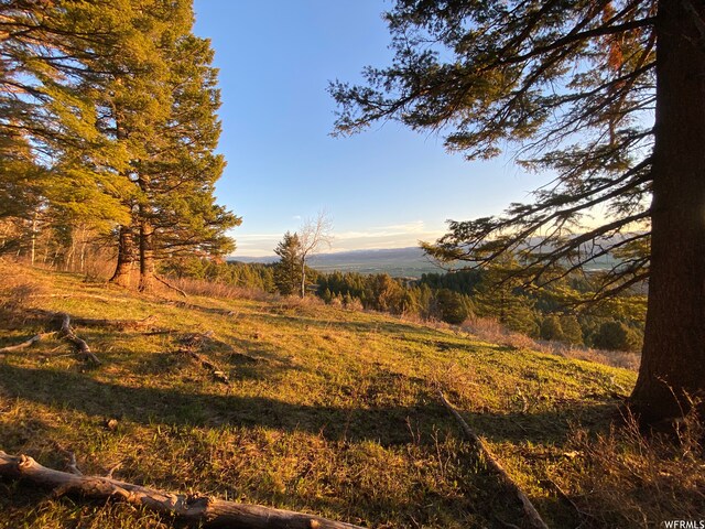 400 Grover Dry Farm Rd, Grover, WY 83122 - photo 29