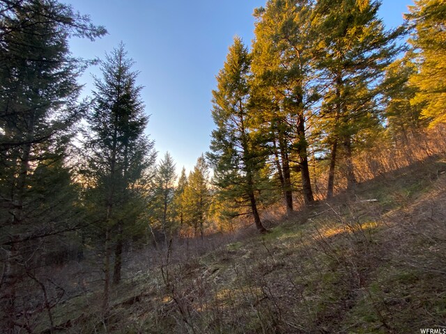 400 Grover Dry Farm Rd, Grover, WY 83122 - photo 27