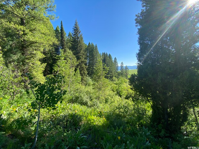 400 Grover Dry Farm Rd, Grover, WY 83122 - photo 15