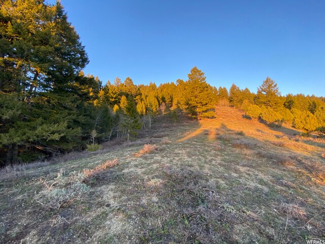400 Grover Dry Farm Rd, Grover, WY 83122 - photo 33