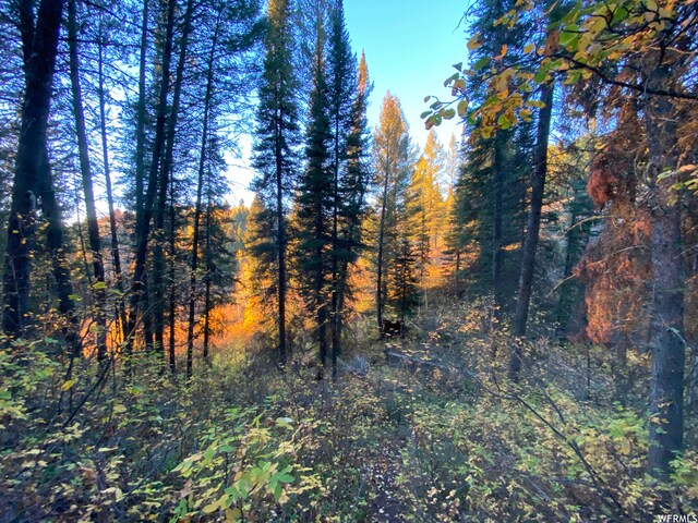 400 Grover Dry Farm Rd, Grover, WY 83122 - photo 66